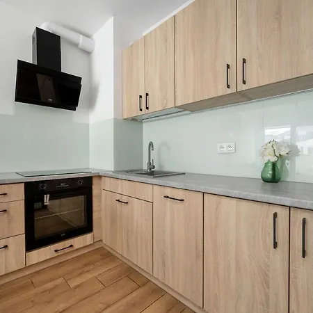 Appartement Spacious In With Desk And Parking By Renters Wrocław