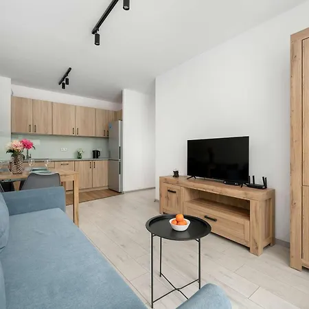 Appartement Spacious In With Desk And Parking By Renters *
